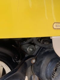 بوليس • فحص • البصره