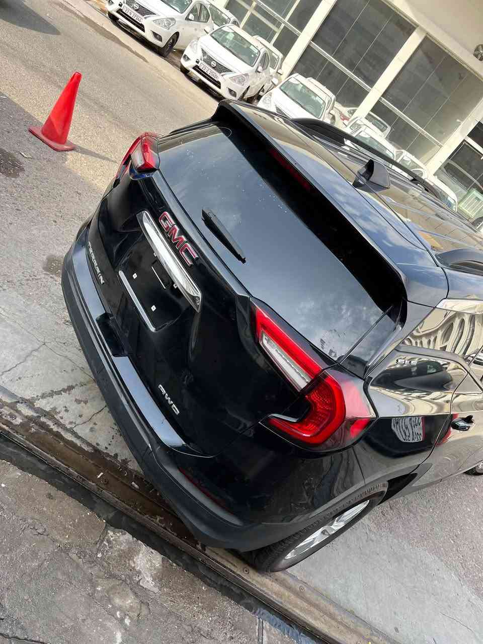 تيرين SLE • ٢٠٢٤ • بدون صبغ