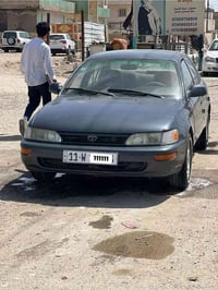 كورلا • كفاله • سوك الشيوخ