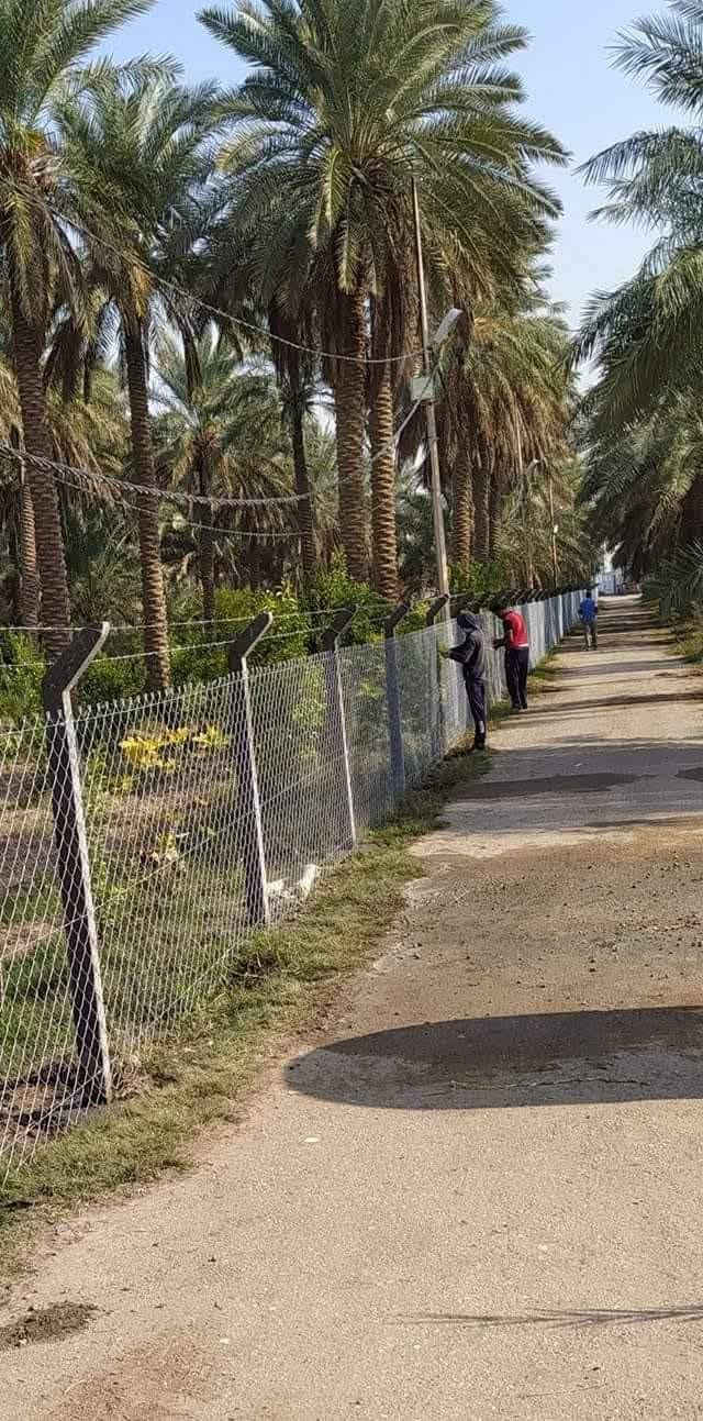 السلام عليكم ورحمة الله وبركاته
مستعدون كافه التجهيزات لعمل ونصب اسيجه الابيارسي 
يعتمد السياج الابيارسي ع تفاصيل تشمل 
1_ مساحة السياج بالنسبة للسياج الابيارسي نوعين 
الابيارسي العشبي التركي متر مربع 
الابيارسي متر طول 

2_يعتمد على نوعية الابيارسي سمك السيم والفتحه مال الابيارسي

3_  العسر حسب محافظة بسبب أجرة النقل والعمل 

4_ والأسعار حسب مواصفات الشغل مطلوبه والمساحة نعمل في جميع المحافظات العراق 🇮🇶 🇮🇶 

اتصل على أرقام 
*********** واتساب 
*********** واتساب

نص مكتوب في الصور:
- ***********
- واتساب
- 15 من 20 شركة بي ار سي بغداد 9 حزيران