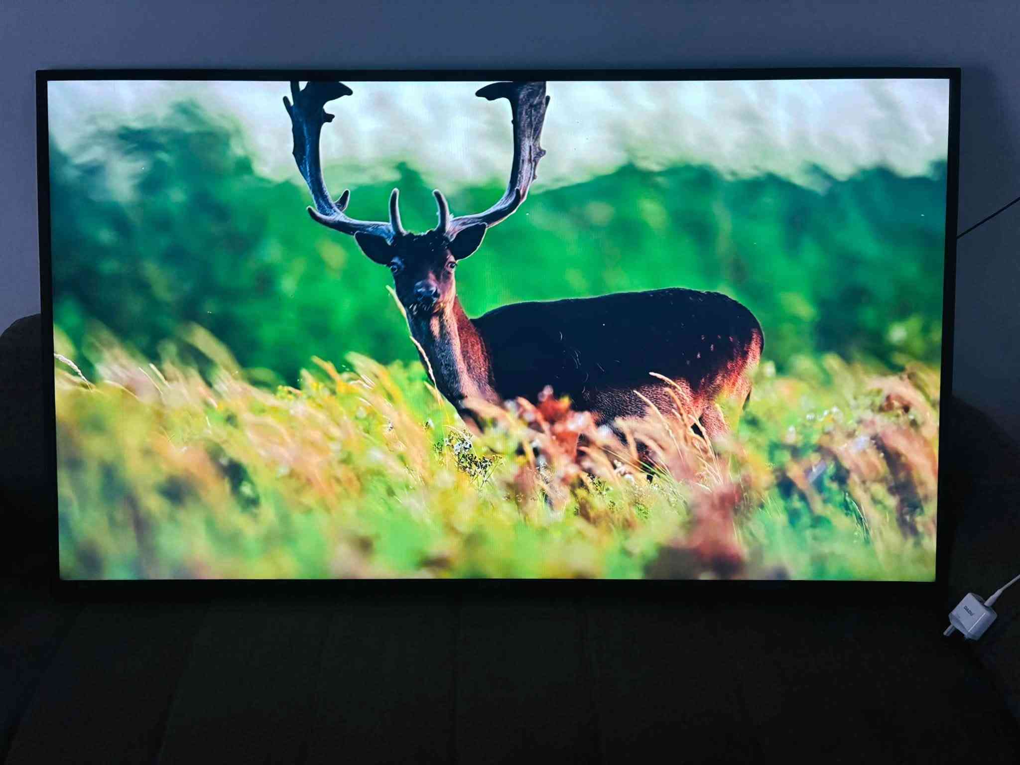 السلام عليكم بلازمه ماركه كينود حجم 65
فول مواصفات 4k انترنت كامل مواصفات اخر اصدار اندوريد

السعر 450 العنوان بغداد م الصدر 

***********

نص مكتوب في الصور:
- باجر كل خريف يموت ويهب بس ربيع حسين
- Tomorrow every autumn dies And only Hussein's spring will blow
- اوكفوله هله بكل صوب ولحد يلتهي بغيره
- Stand for him from every side And don't let anyone be distracted by anything else