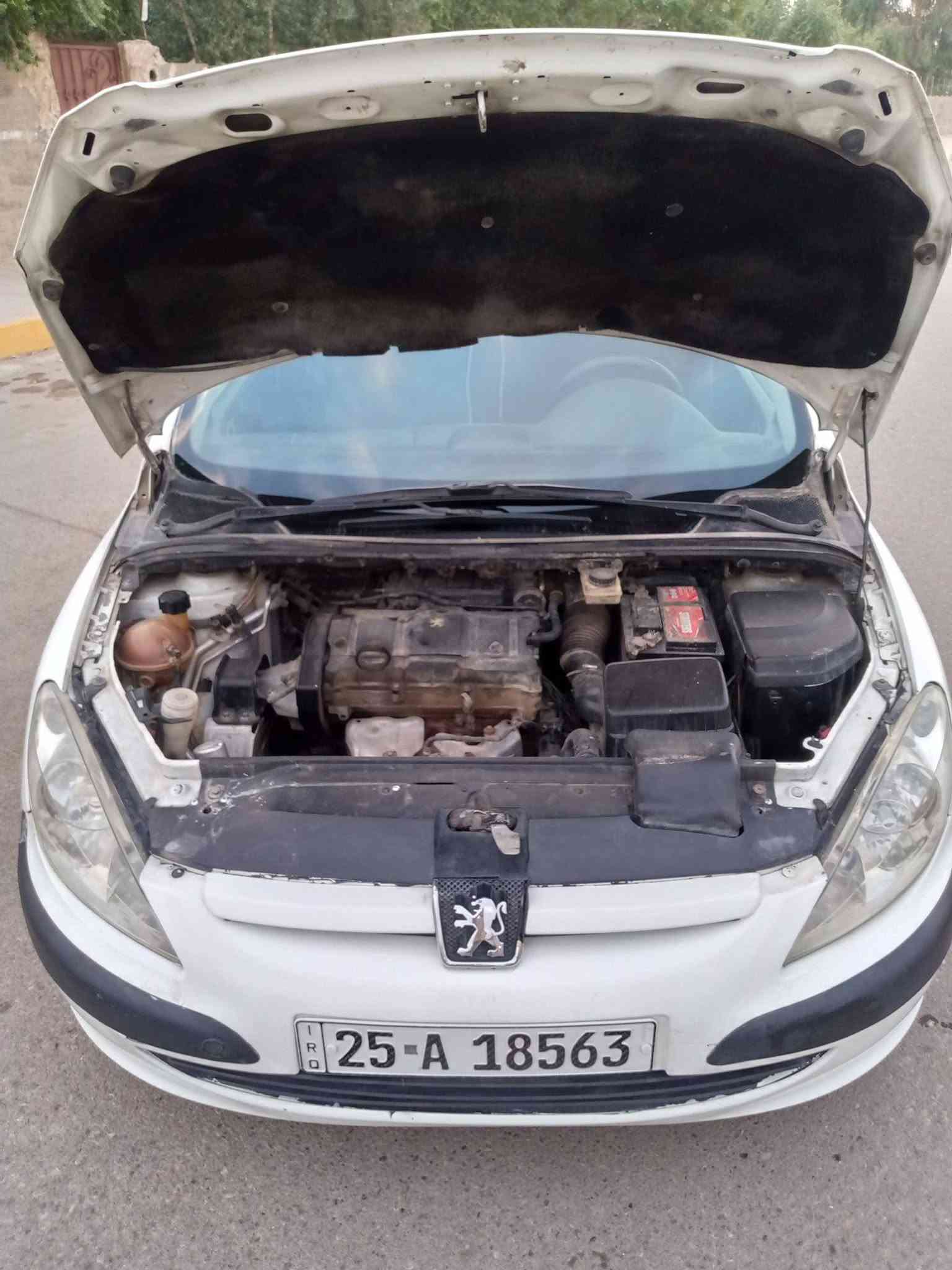 ٢٠٠٤ • بدون صبغ • كركوك