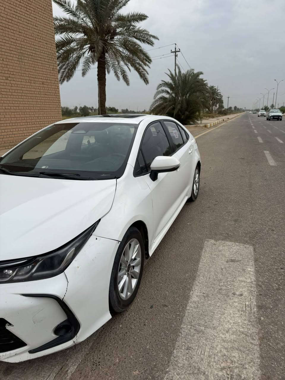كورلا هايبرد • ٢٠٢٤ • المصيب
