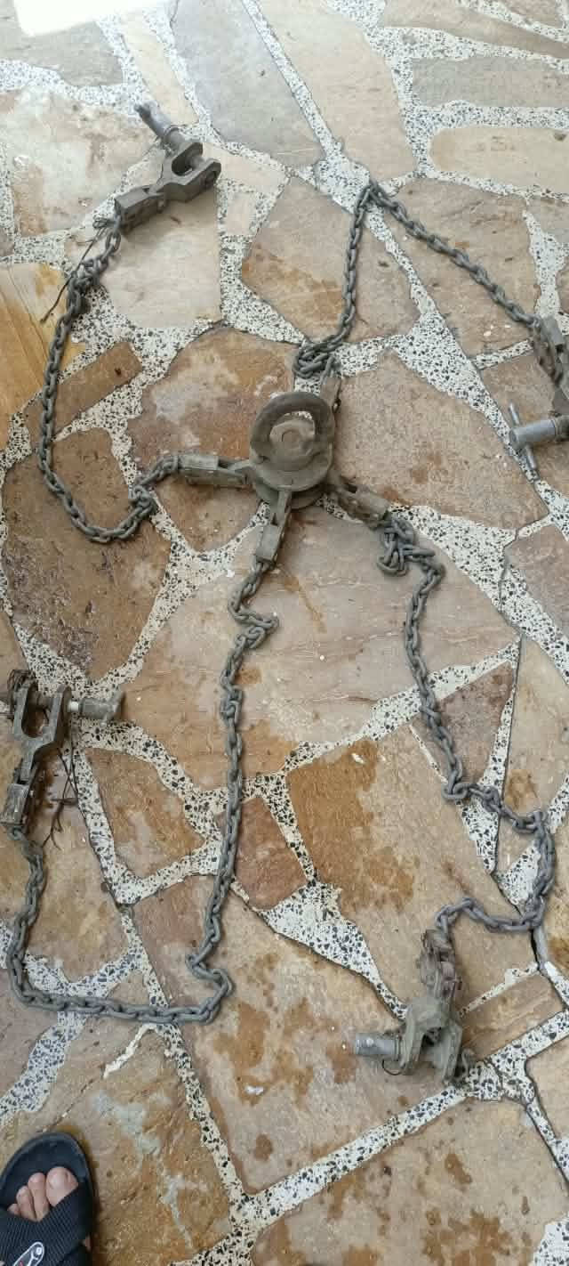 زنجيل اصلي • قفاله ناقص • فيديو واضح