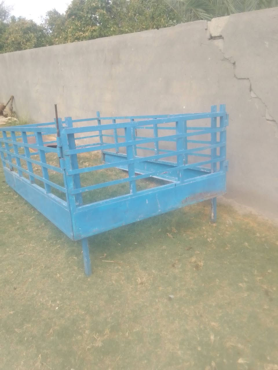 بنجو • موديل ٢٠١٠ • ديالى كنعان