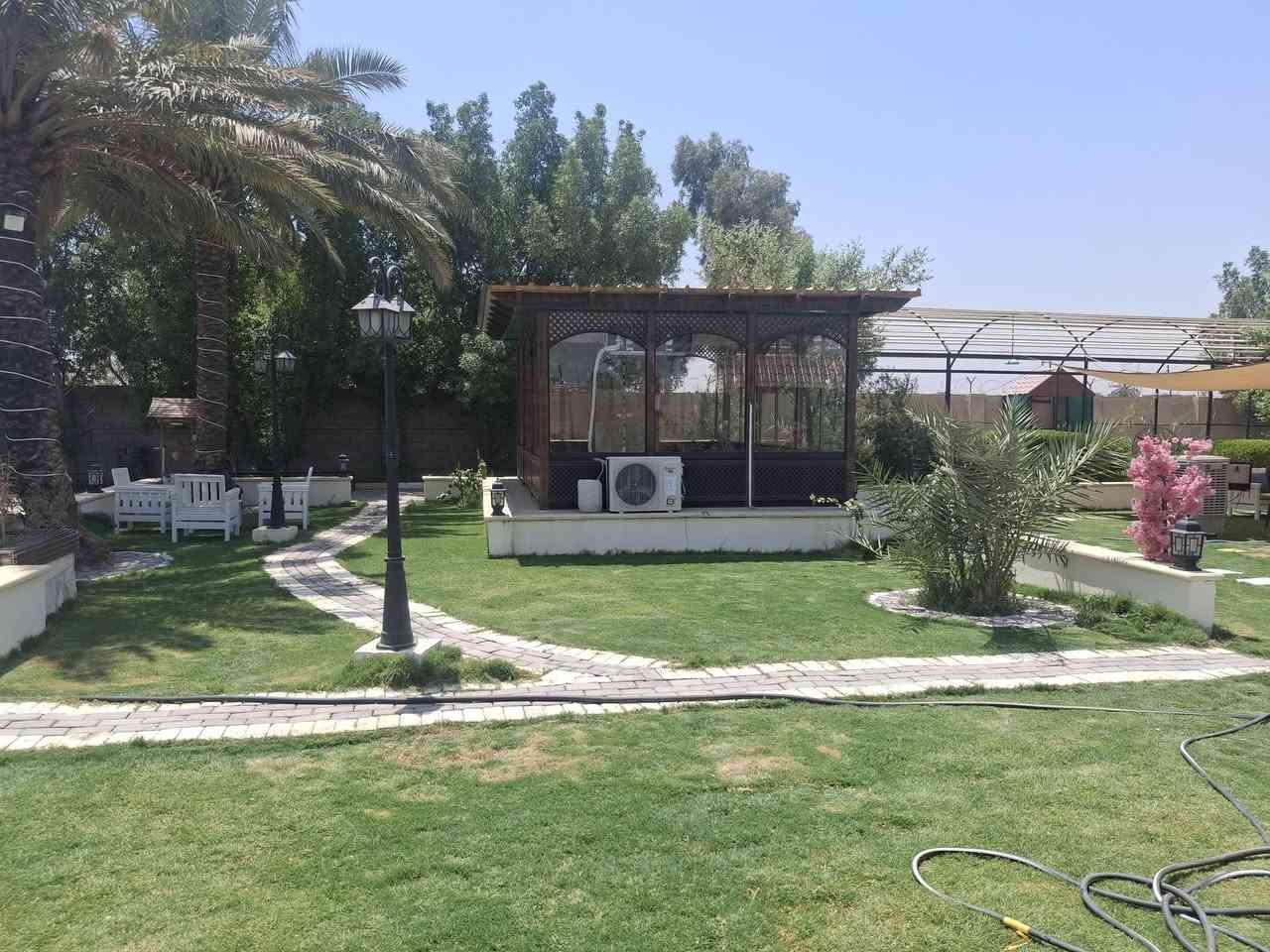 الكرغولية • دونم وربع • سند ٢٥
