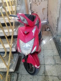 سكنس • ياباني • مكفوله
