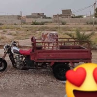 ستوته • دايون • ٢٠١٢