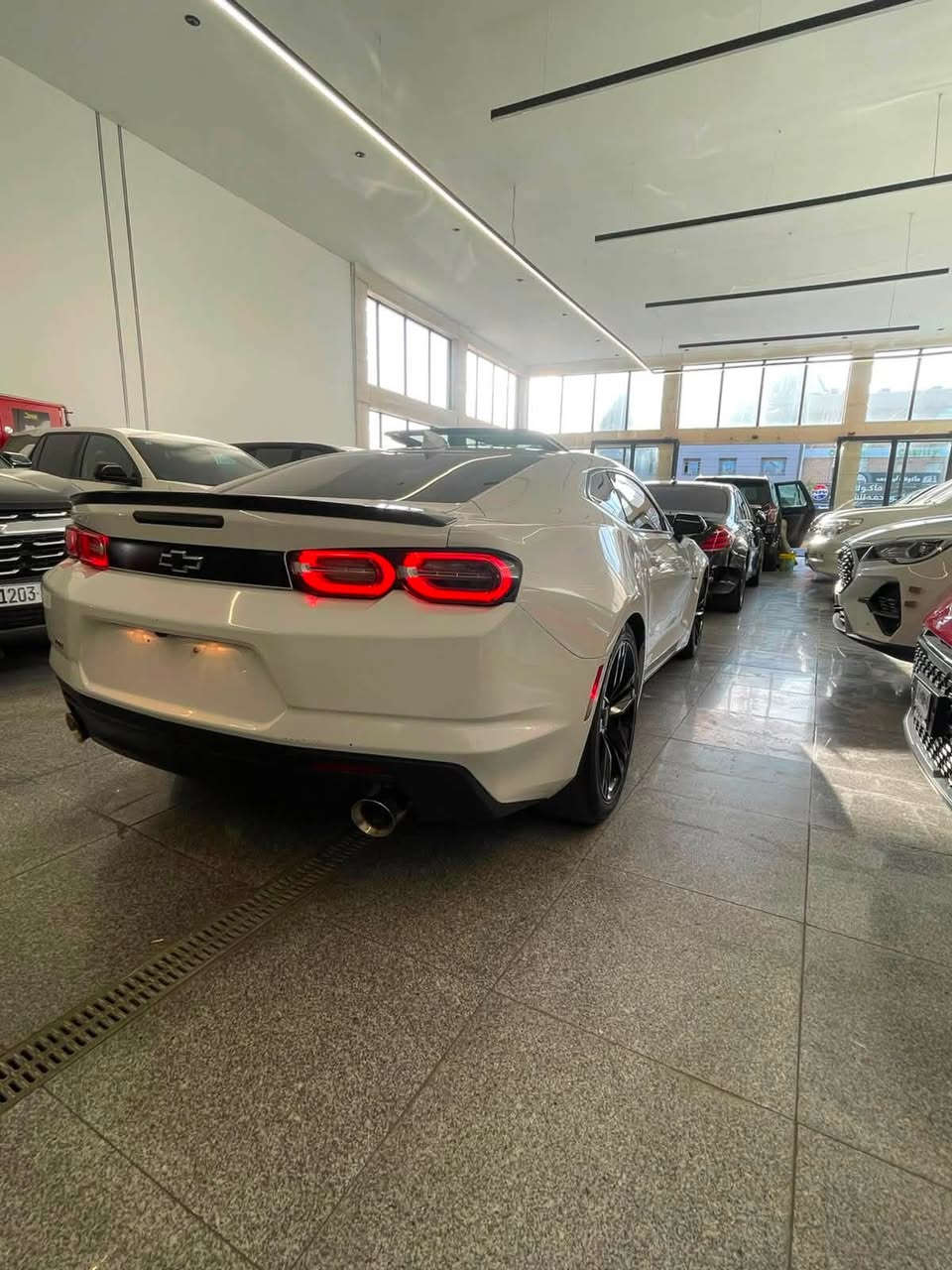 مديل 23 فول مواصفات RS
ماشيه 9000
حادثه دعاميه اماميه مصبوغه الباقي البدي كفاله
بلا رقم
***********
السعر/١٥٠
العنوان/البصره
