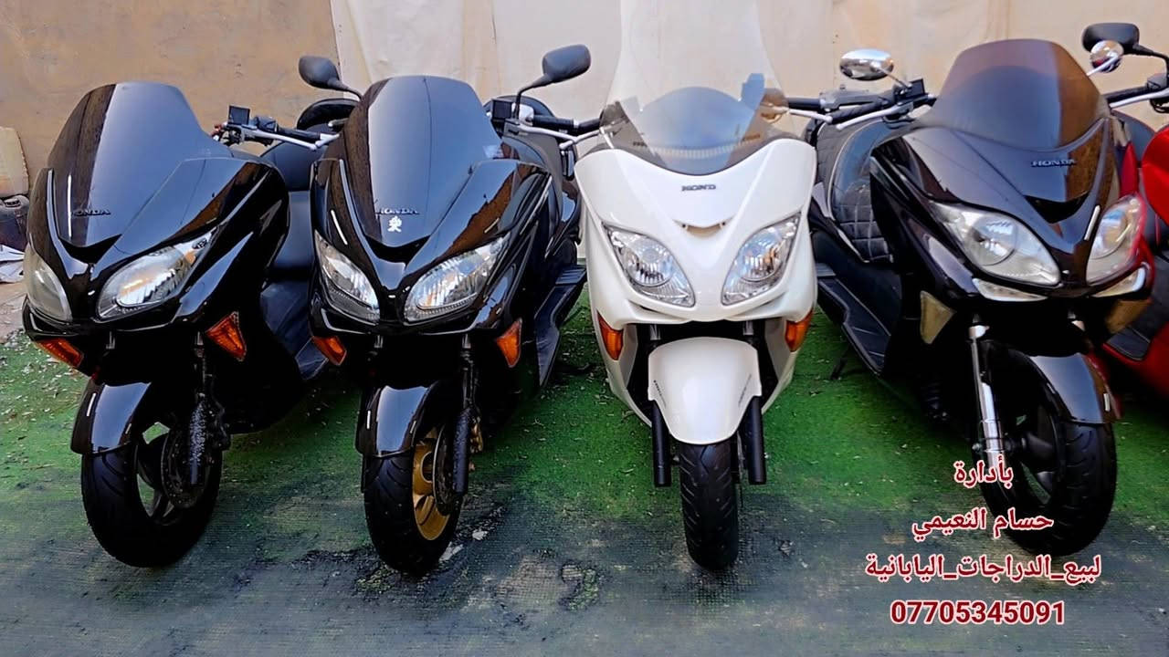 وصول وجبة دراجات جديدة شرط ابيع رمبة
نظافة وجدادة 💯/ 💯 طك كارتون بعدهن بحالة وكالة #دراجات_رمبة_غير_مستعمل 
أخوكم حسام النعيمي ***********
العنوان/بغداد/شارع الكفاح/سوق الدراجات/خلف مشويات موسى 
#البيع_بالنقد_والتقسيط_المريح #يوجد_توصيل_جميع_المحافظات
