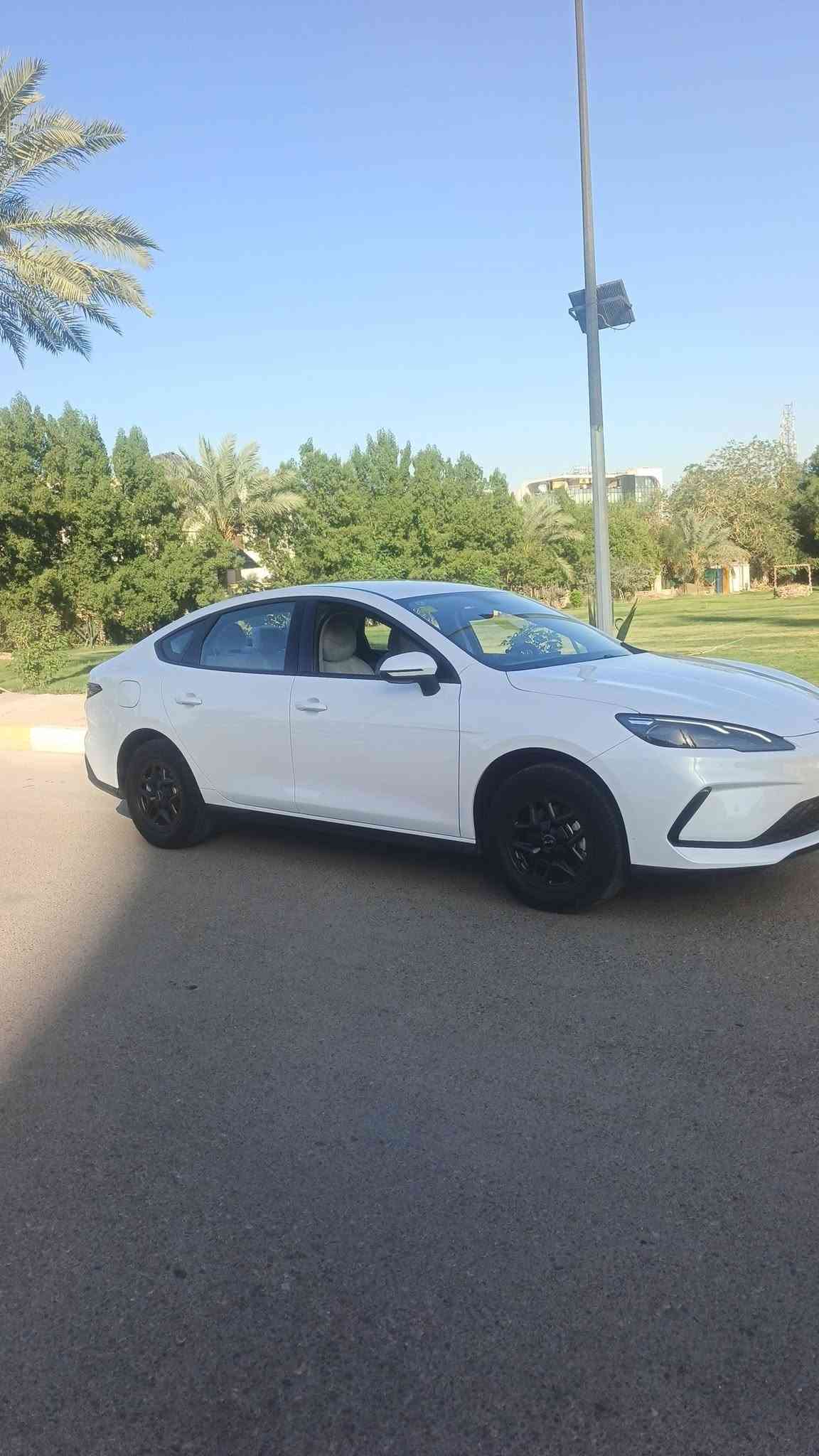 سيل 5 • ٢٠٢٥ • بغداد اليرموك