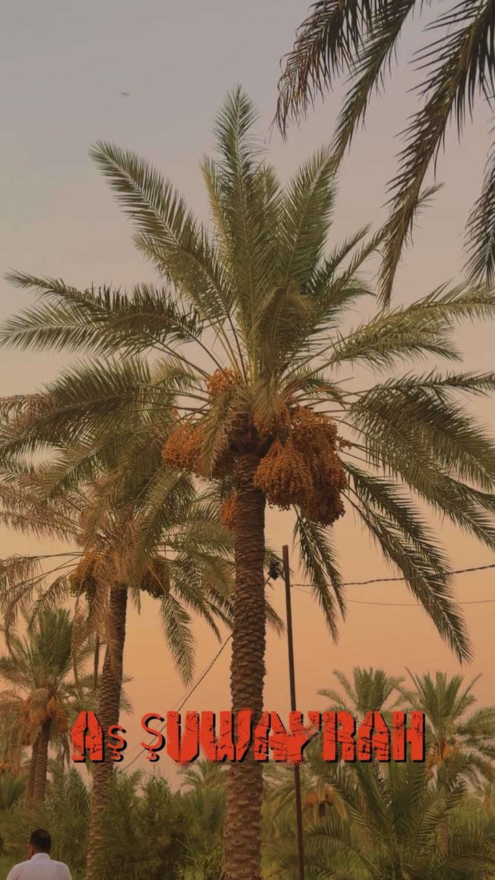 ارض مساحة 5 دونم طابو زراعي 
واسط الصويرة قرب المعارض 
تحتوي عل النخيل والحمضيات وكافة الخدمات 
تباع بالكامل او عل شكل منفصل 
للاستفسار ***********
