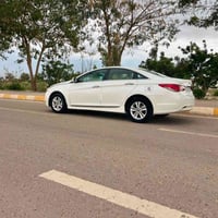 سوناته • ٢٠١٠ • رقم اربيل
