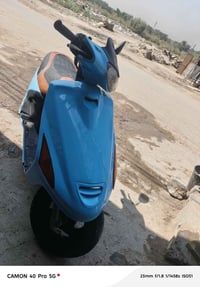 فراشة فحل • بابل مركز • مجال