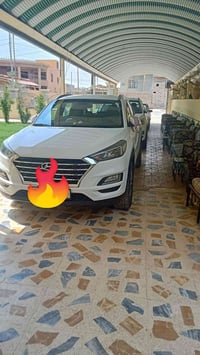 الفلوجه-اربيل • حوض تبريد • صالون
