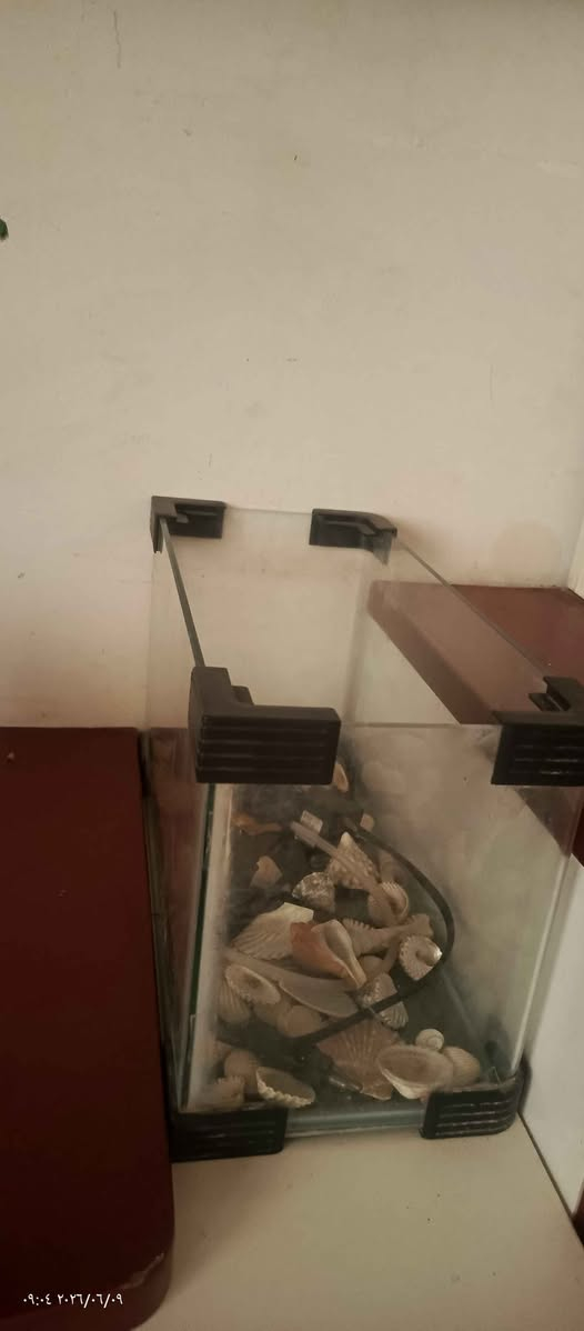 السلام عليكم ورحمه الله 
يتوفر غراض بيت مستخدمة 
حوض سمك
Ups 850
رافع فولتيه
راوتر زين 
جهاز تقطير 
كلها شغالة وعلى الفحص 
مكاني كربلاء طريق بغداد قرب مدينة الزاىرين سيد الأوصياء *********** كربلاء, العراق

نص مكتوب في الصور:
- ١٣:١٣ ٢٠٢٦/٠٩/١٠
- ٠٩:٠٤ ٢٠٢٦/٠٦/٠٩
- ٠٩:٠٨ ٢٠٢٦/٠٦/٠٩
- ٠٩:١٢ ٢٠٢٦/٠٦/٠٩