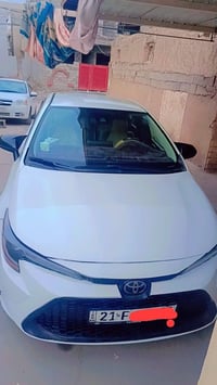 كورلا وارد امريكي • ٢٠٢٠ • ضرر بالسونار