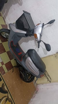 منغولية • نظيفة