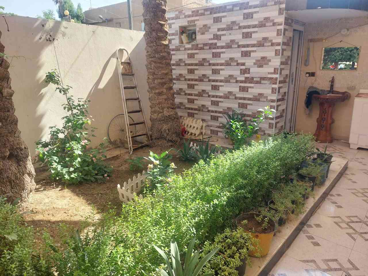 الدار للبيع م 200 متر داموك الشهداء المربع الثاني قريب على معمل ارقام المرور جاهز ماتذب عليه ربع دينار ترميم 23 من الاف للياء قاطين اربع غرف منور و ترك صحيات وحمامات خارجيه وداخليه هول ومطبخ وكراج وحدايق اثنين خارجيه وداخليه لمعرفة التفاصيل اتصال ***********
