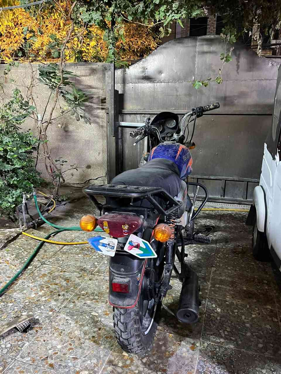 بوكسر جبلي • ٢٠٢٣ • نضيفة