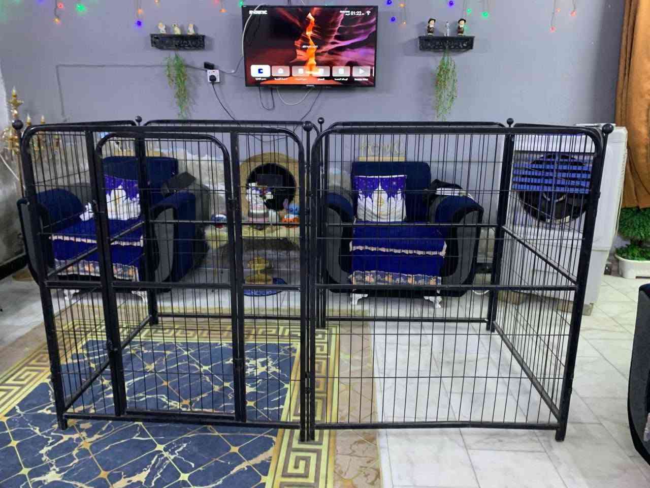 حوطه جبيره البيع السعر ١٠٠ الف هاتف ***********
