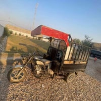 ستوته • ٢٠١٩ • اوراق كماله