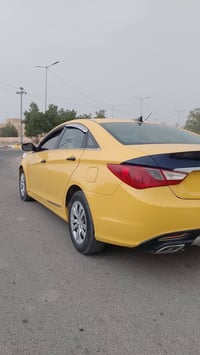 سوناتا • ٢٠١١ • بلدروز