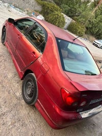 كورلا نحلة • ٢٠٠٧
