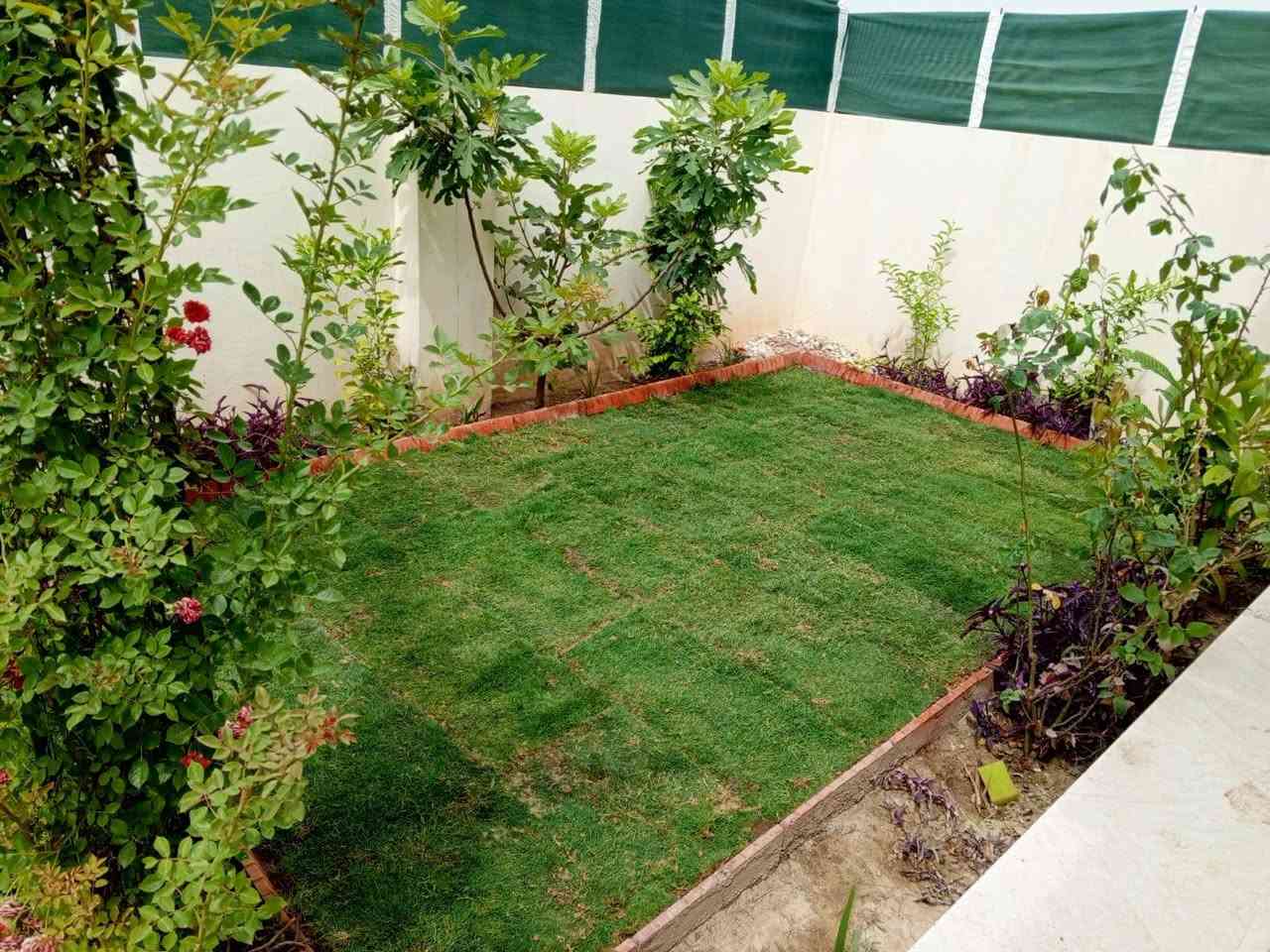 وتساب***********/*********** ،السلام عليكم 🌷هذا جزء من 🌱عملي 🌷ان شاء الله 🌷 عجابكم🍁 مستعدين 🌷 تأسيس 🌷الحدئق و🌷قص الثيل وتقليم الا 🍁شجار
