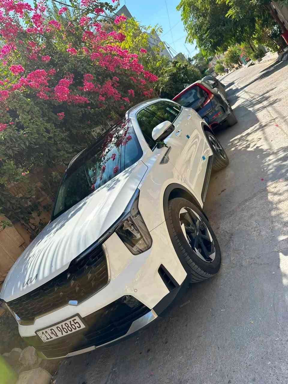 سورنتو خليجي 2025 رقم بغداد ماشية 28 كفاله عامه فول سعر 315وبيه مجال
ديالى بعقوبه 
***********
