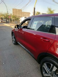 ٢٠٢٢ • وارد امريكي • بنيد صبغ