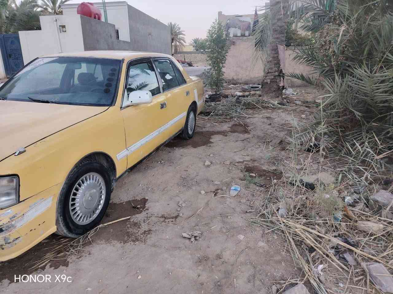للبيع راس الثور أو مراوس #***********
