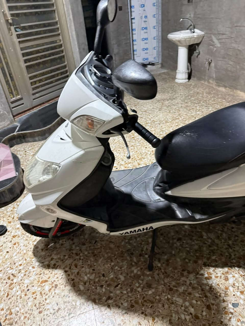 سكنس فحل • ياباني • مشيها