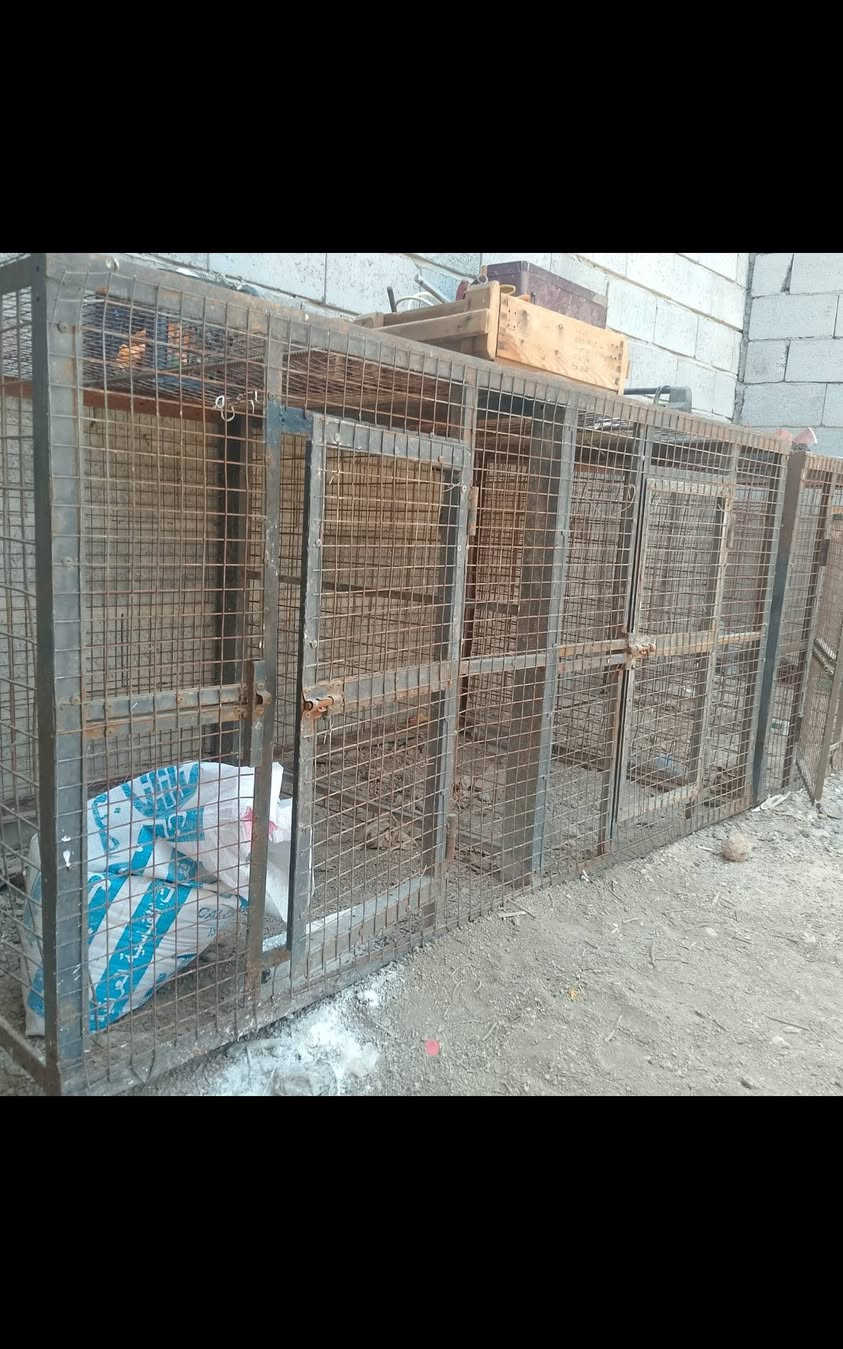 قفصين تفصال حديد ارتفاع متر وعرض متر القفص الواحد مترتين بي خانتين السعر ب200 البصره ابو الخصيب
***********
