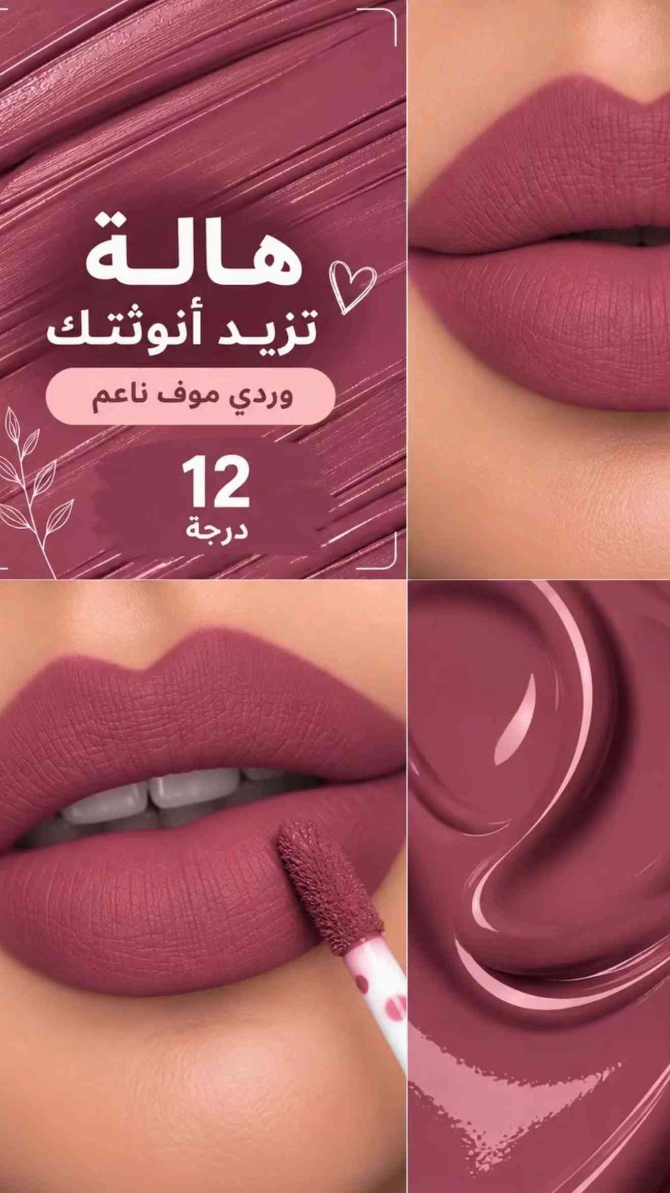 حمرة • Biie أمريكي • درجات متعددة