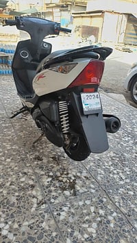 ماكس ثعلب • كفاله • زينون