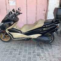 فورزا • كفالة عامة • نظيف