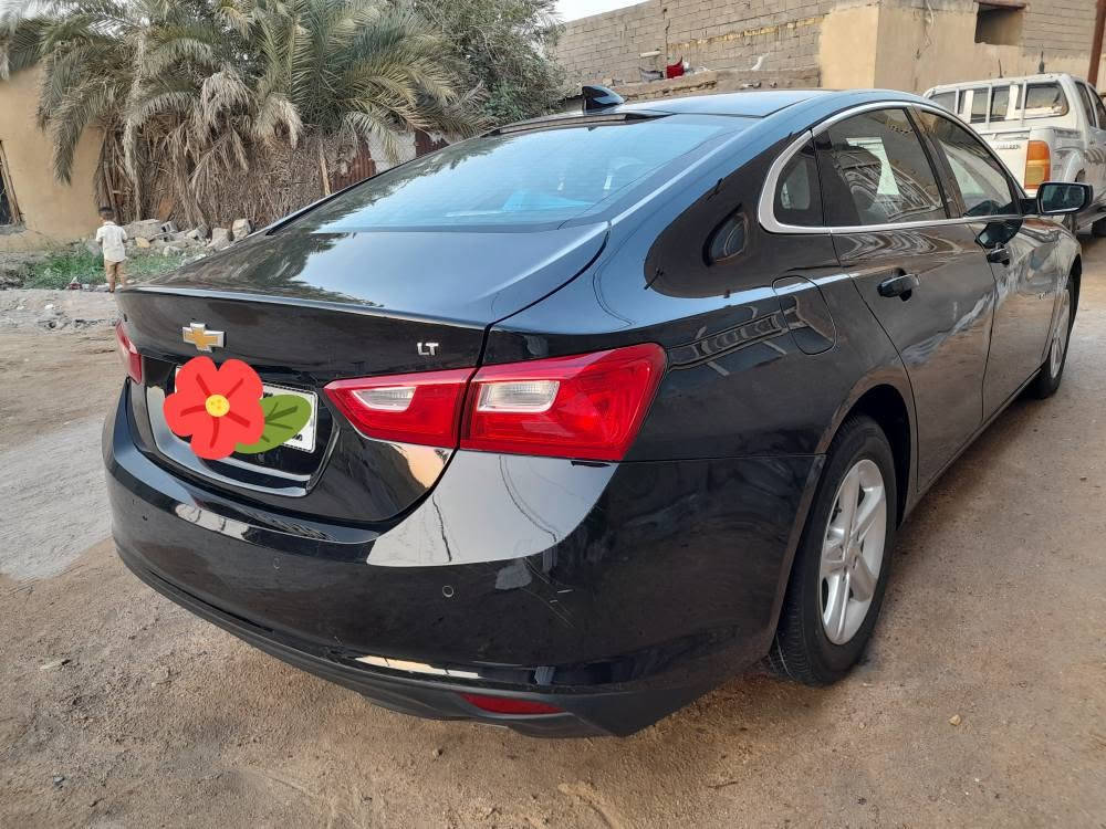 ماليبو • ٢٠٢٤ • رقم بصره