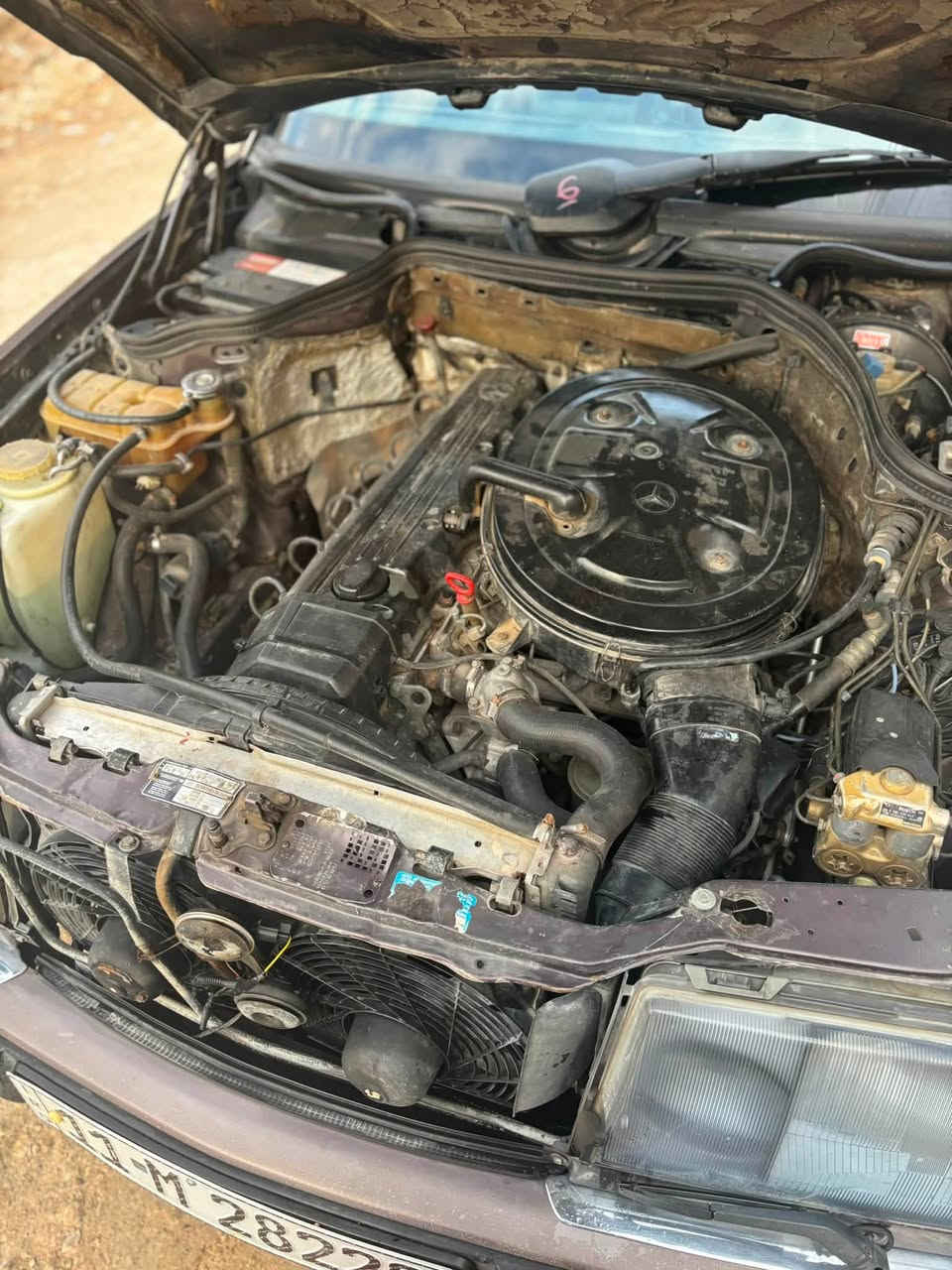 مارسديدس W124(دب) 300E عنكبوت موديل 1991 للبيع او مراوس حسب القناعة
سيارة فول تنتة جام كهرباء تحكم كشنات كهرباء تدفئة كشنات بردة كهرباء تبريد ثلج داخل اسود جلد سيارة جاهزة من كلشي حدادة تايرات كهربائيات محرك گير كاملة مكملة ترايك وين ما تريد سنويتها لل30 رقم جديد بغداد باسمي هزة جديدة مكانها بصرة /قرنة سيارة بلادية مكفولة من الضربة والگص سعر 78 بيها مجال
***********
