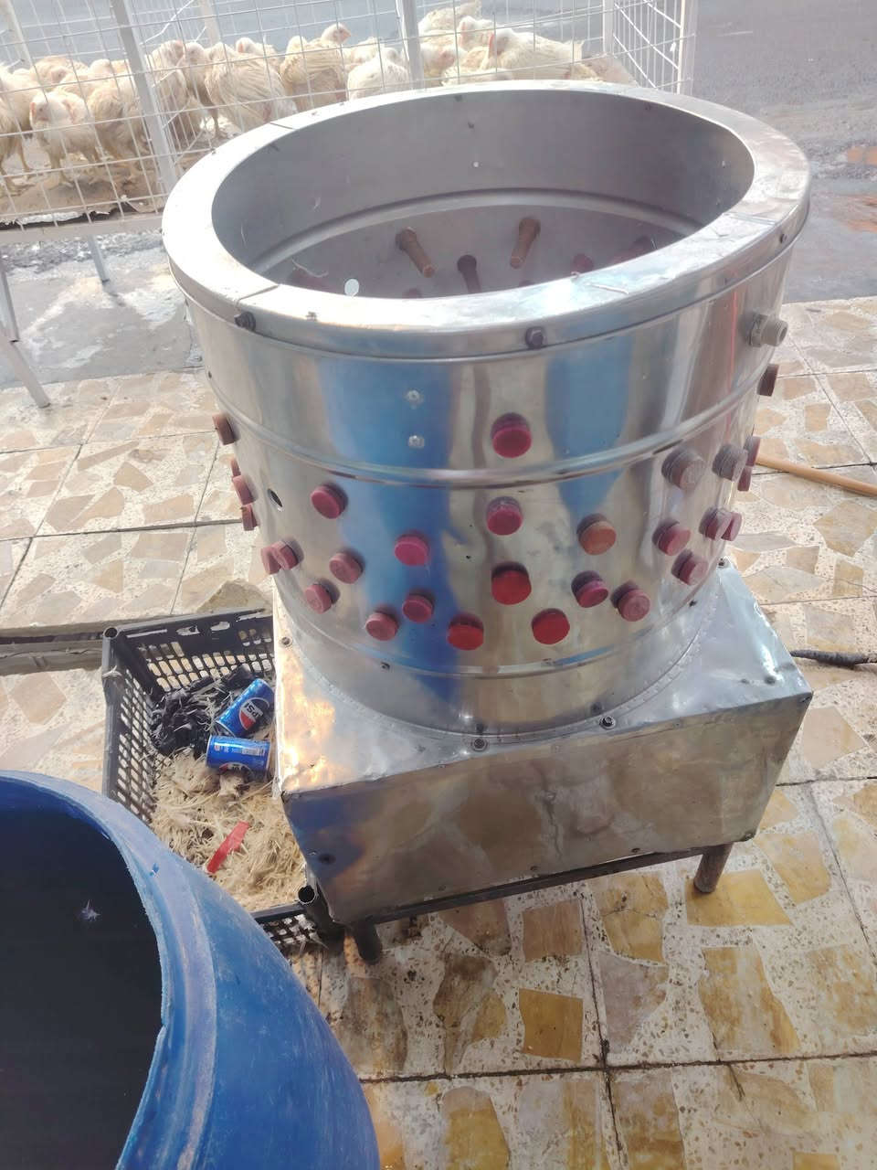 سلام عليكم غراض محل دجاج كامله 
و بسعر مناسب و٣ سجاجين اصليه + صينيه تقطيع اصليه و الأغراض نضيفه   للتواصل ***********
