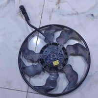 ماطور فينو • ريشه • ٢٠٢٤