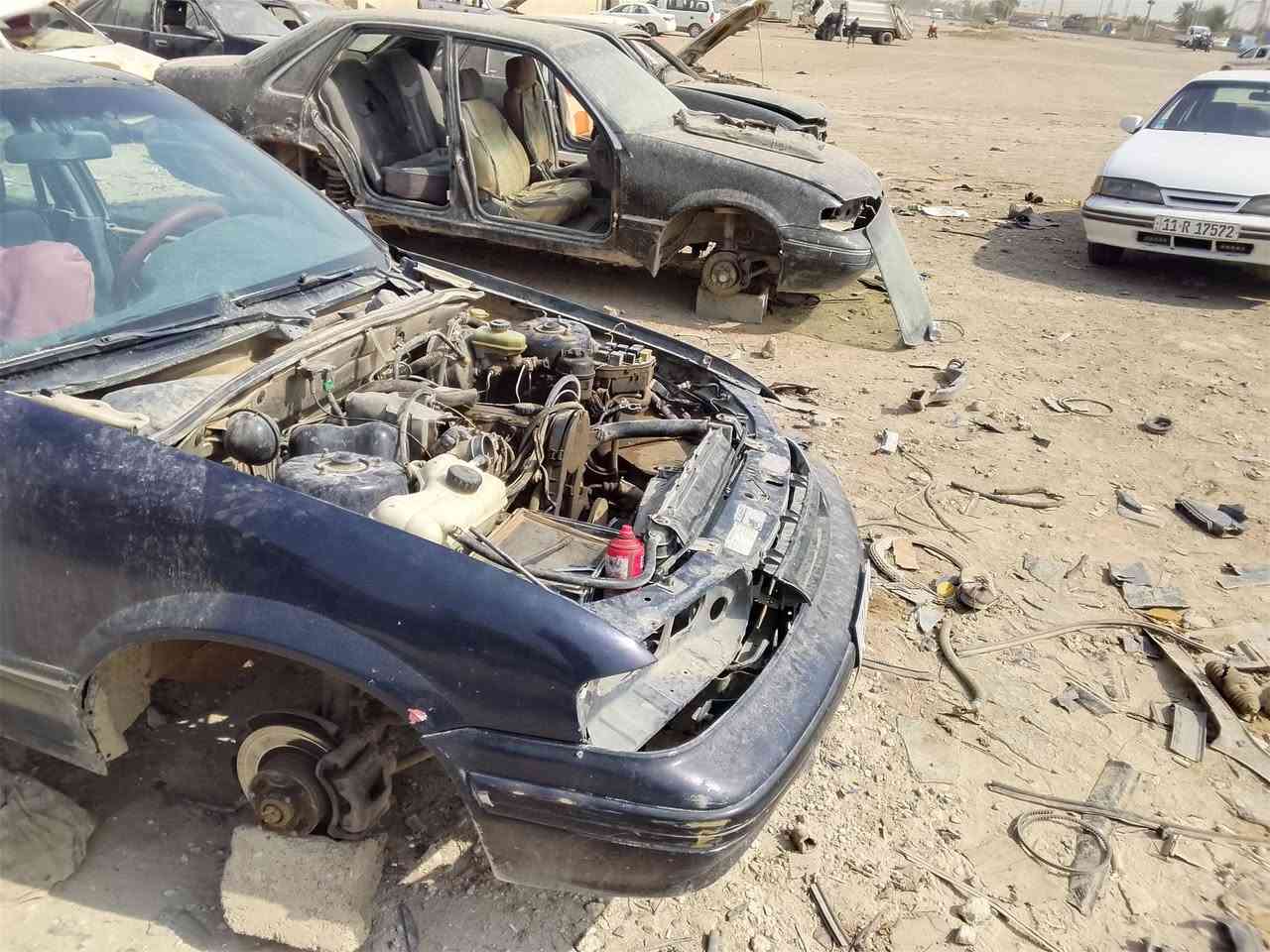 تفصيخ • برنس فراشة • ابوغريب
