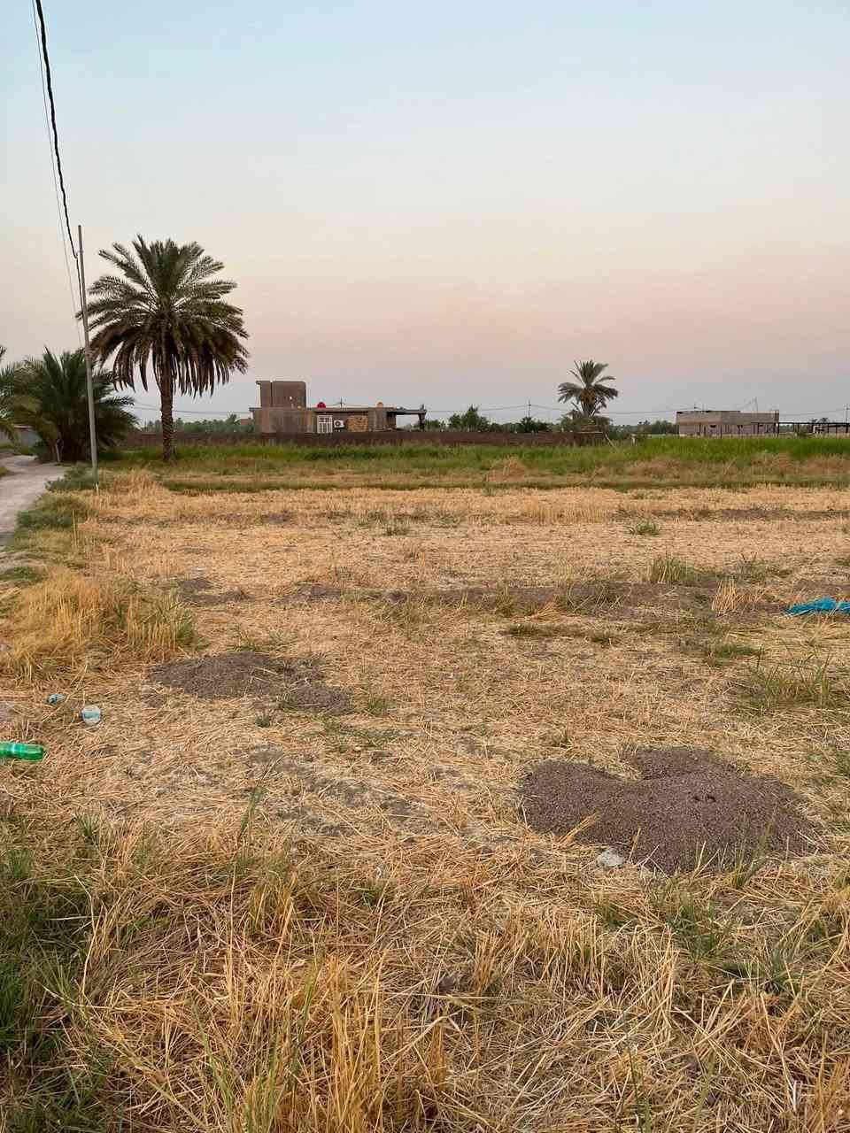 يالله السلام عليكم
🌴 للبيع أرض زراعية مميزة 🌾

المساحه : دونم وربع 
المساحة الكلية: 3125 م²
ارض جاهزه للسكن او زراعه يتوفر بيها
كهرباء وماء بالاضافه إلى قريبه على 
شارع تبليط مسافه 100 متر أو اقل 

📍 الموقع ابي غرق _ الرغيله _ منطقه زغيب 
📞 للاستفسار : ‭***********‬ / ‭***********‬
