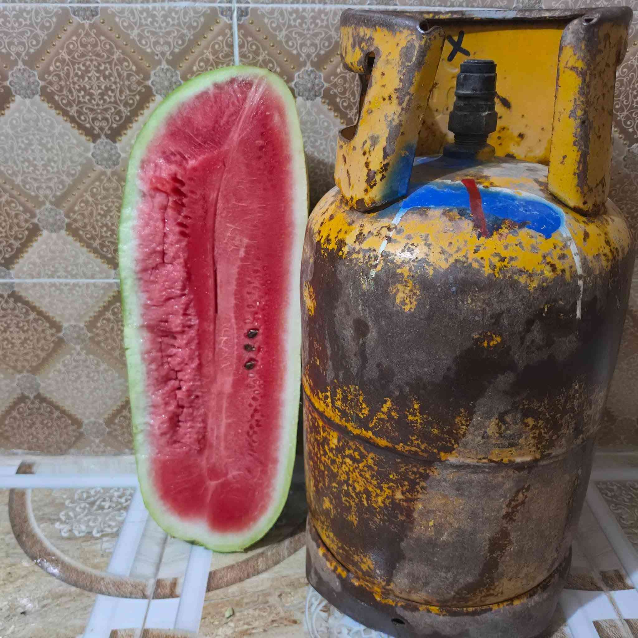 نيكارا • أصلي أمريكي • متوفر
