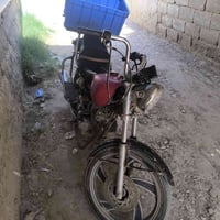جونده • رقم • سنوية