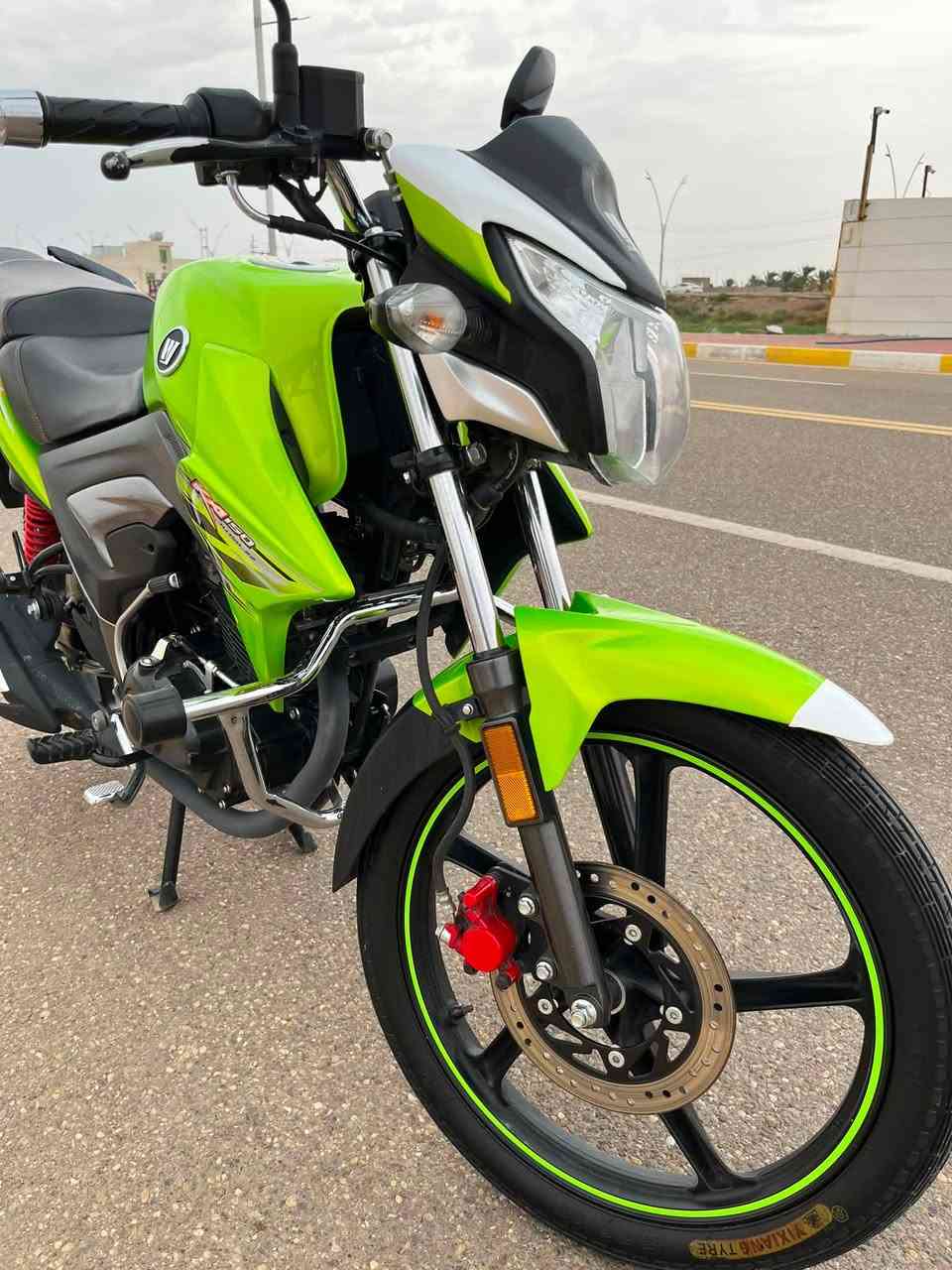 هاوجي • موديل ٢٣ • بدون أوراق