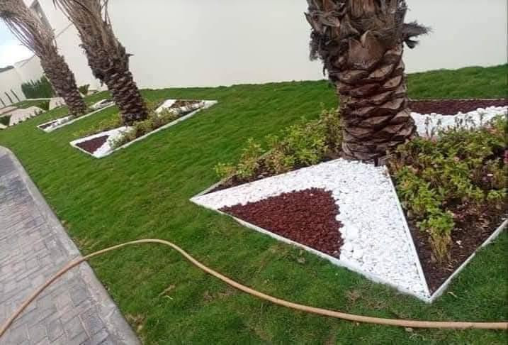 لعمل الديكور اتصل على الرقم (***********)
🍃مستـعدون🍂 ، لـترتيب🐦 الحدائق المنزلية 🏝️🏘️ ودوائر الدوله والمتنزهات  مايخص الحدائق العامة
وزراعة النباتات، 🌾🌴🌱والازهار، 🌼🌺🌻وقص الثيل.🌾🌾
وعمل الديكورات والتصاميم،الحديثة للحدائق،وعمل وسياجات BRC وسياجات الحدائق، بواسطة الاحجار الملونة والاشتايكر   ،
ونعمل على تصميم الشلالات 💦والنوافير.⛲
