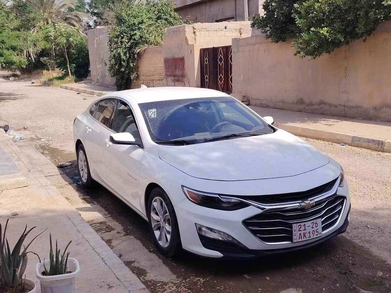ماليبو • ٢٠٢٤ • ضرر بالسونار