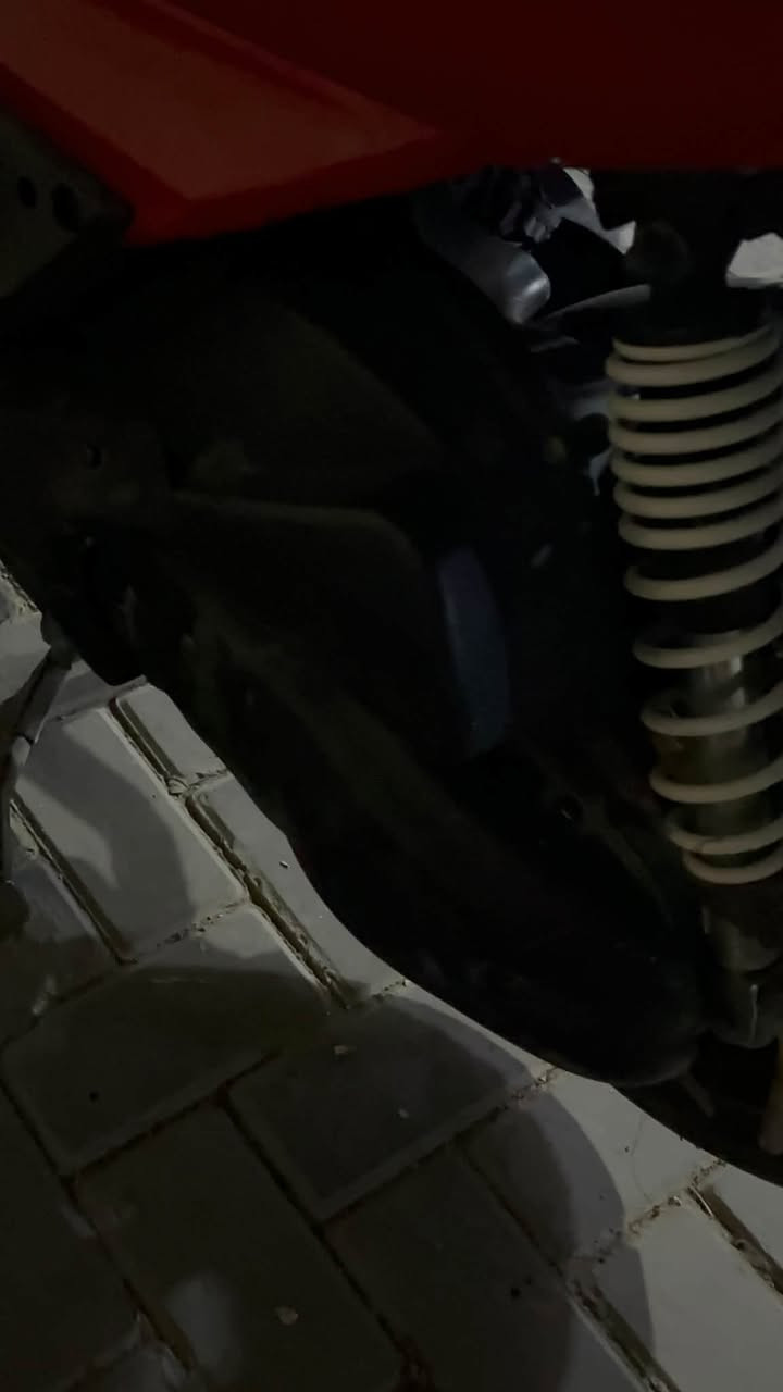 سكنس فحل • نضيفه • زينون اصلي