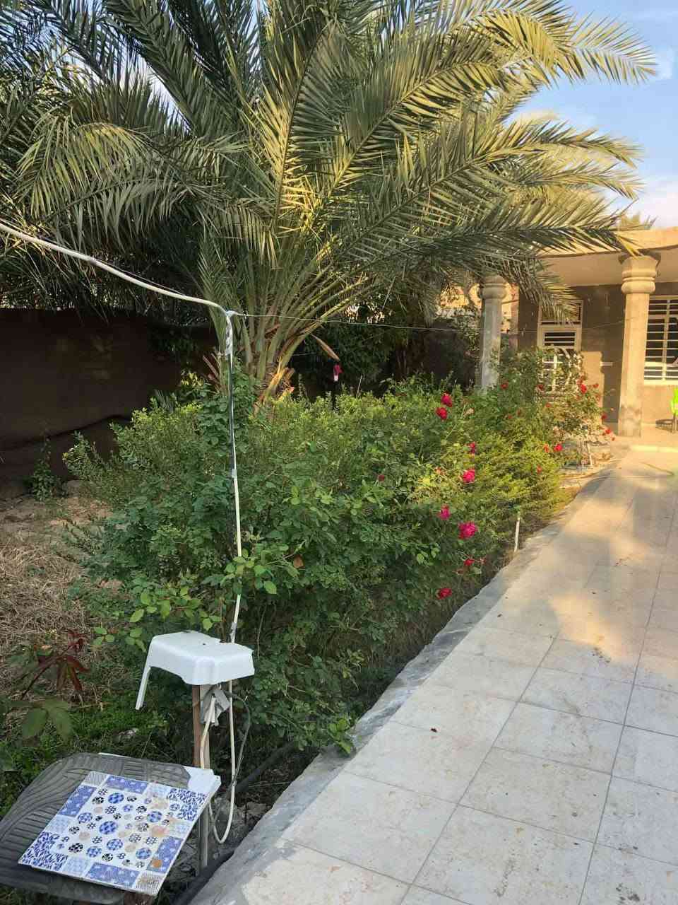 وردية خارج • مزرعة مع بيت • ٨٢٤م